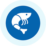 Top Education Institute in Bihar