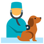 Top Education Institute in Bihar